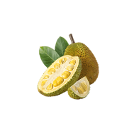 Fruits du jacquier et feuille verte sur fond blanc.